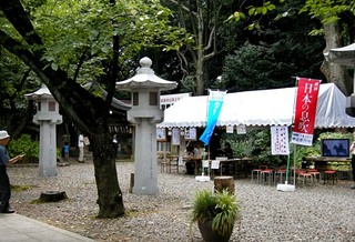 katsudo_20110815_shomei124.jpg
