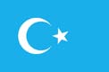 uigur_flag_image.jpg